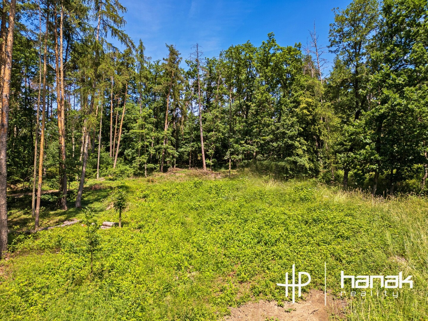 Rozlehlý pozemek pro rodinnou rekreaci (3 150 m²) v malebné obci